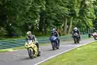 cadwell-no-limits-trackday;cadwell-park;cadwell-park-photographs;cadwell-trackday-photographs;enduro-digital-images;event-digital-images;eventdigitalimages;no-limits-trackdays;peter-wileman-photography;racing-digital-images;trackday-digital-images;trackday-photos